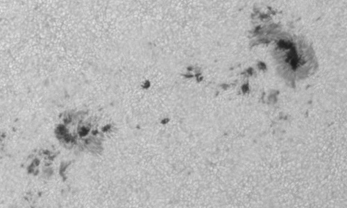 2024年7月30日の黒点（活動領域13766）