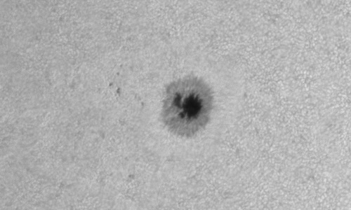 2024年7月30日の黒点（活動領域13769）