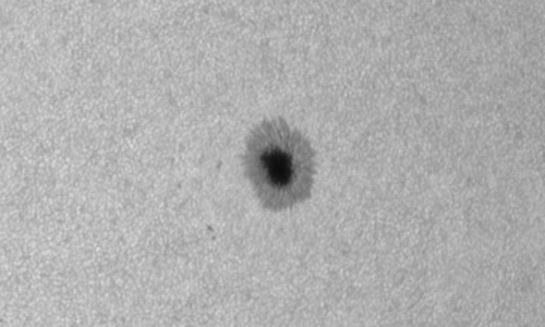 2024年7月21日の黒点（活動領域13763）