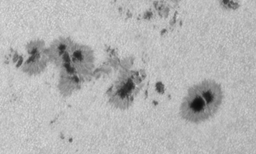 2024年7月31日の黒点（活動領域13765）