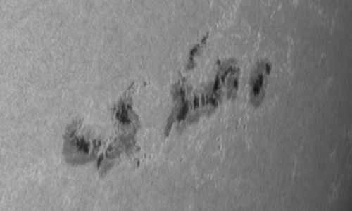 2024年7月31日の黒点（活動領域13768）