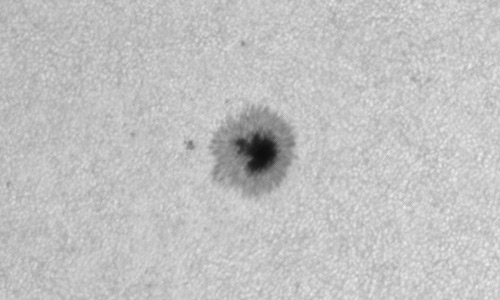 2024年7月31日の黒点（活動領域13769）