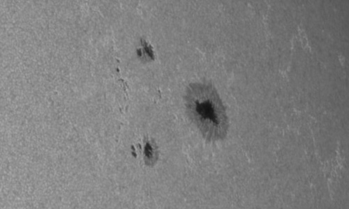 2024年8月3日の黒点（活動領域13770）