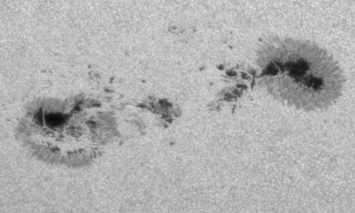 2024年8月3日の黒点（活動領域13772）