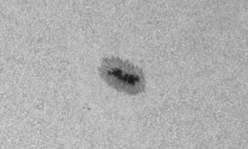 2024年8月4日の黒点（活動領域13769）