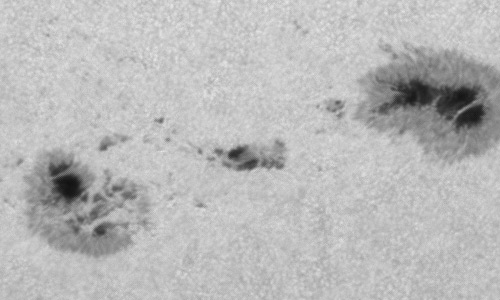 2024年8月4日の黒点（活動領域13772）