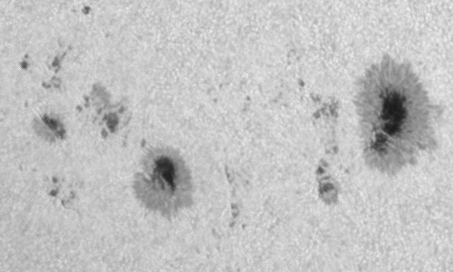2024年8月4日の黒点（活動領域13774）