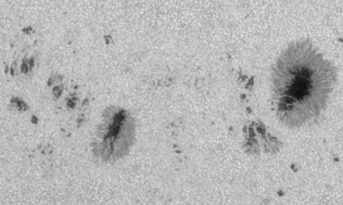 2024年8月5日の黒点（活動領域13774）