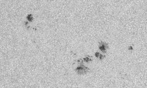 2024年8月5日の黒点（活動領域13775）