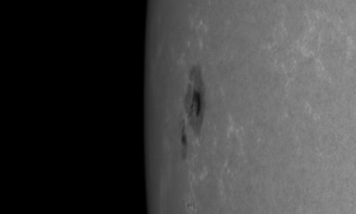 2024年8月5日の黒点（活動領域13781）