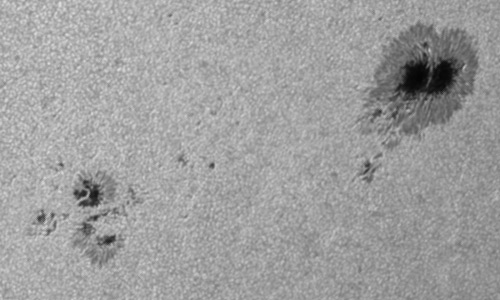 2024年8月7日の黒点（活動領域13772）