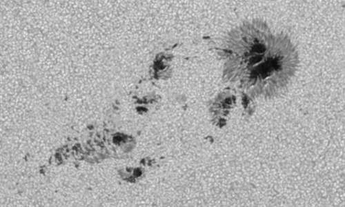 2024年8月7日の黒点（活動領域13777）