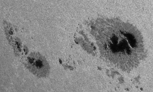 2024年8月7日の黒点（活動領域13780）