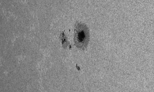 2024年8月7日の黒点（活動領域13781）