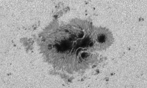 2024年8月10日の黒点（活動領域13780）