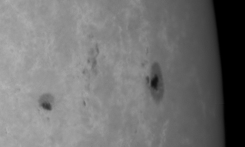 2024年8月11日の黒点（活動領域13774）