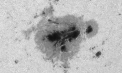 2024年8月11日の黒点（活動領域13780）