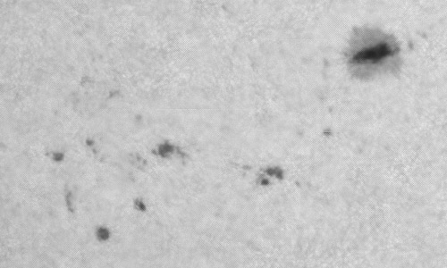 2024年8月11日の黒点（活動領域13782）