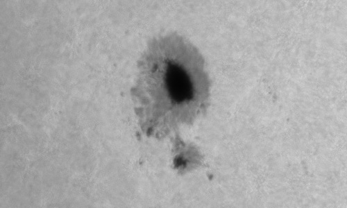 2024年8月11日の黒点（活動領域13784）