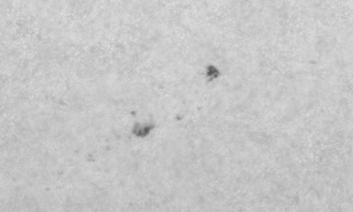 2024年8月11日の黒点（活動領域13786）