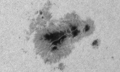 2024年8月12日の黒点（活動領域13780）