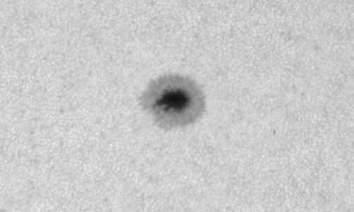 2024年8月12日の黒点（活動領域13781）