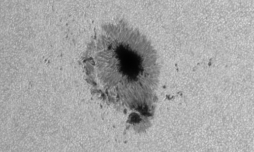 2024年8月12日の黒点（活動領域13784）