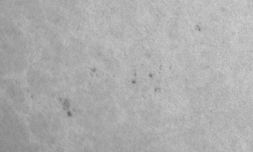 2024年8月12日の黒点（活動領域13785）