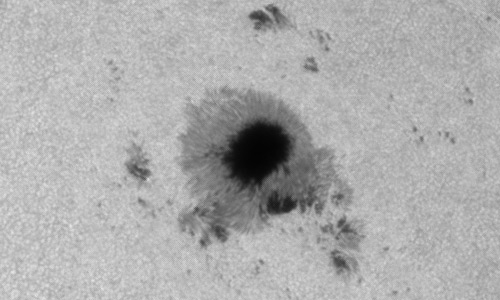 2024年8月17日の黒点（活動領域13784）