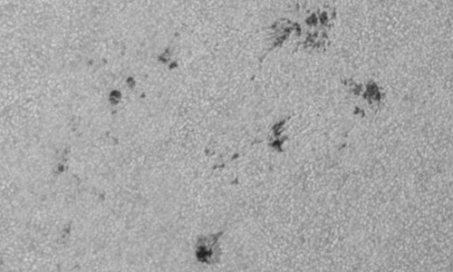 2024年8月17日の黒点（活動領域13785）