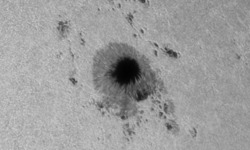 2024年8月18日の黒点（活動領域13784）