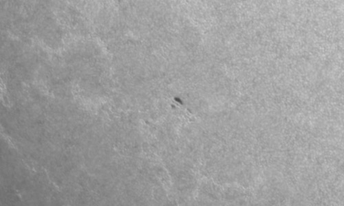 2024年8月21日の黒点（活動領域13800）