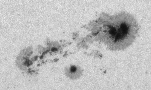 2024年8月21日の黒点（活動領域13790）