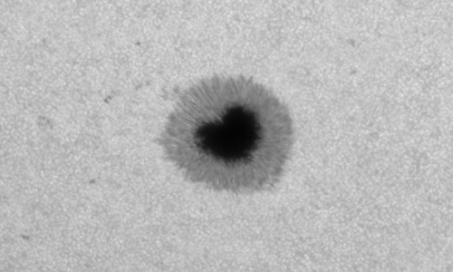 2024年8月21日の黒点（活動領域13792）