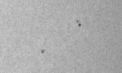 2024年8月21日の黒点（活動領域13797）