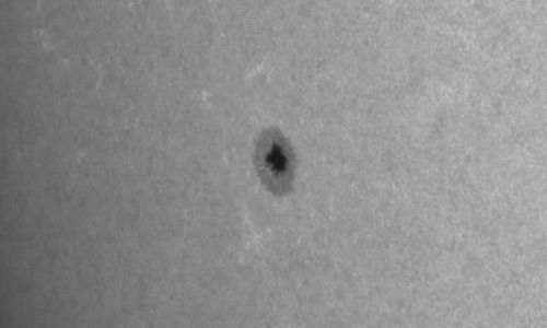 2024年8月21日の黒点（活動領域13798）