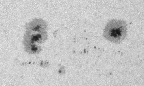 2024年8月25日の黒点（活動領域13796）