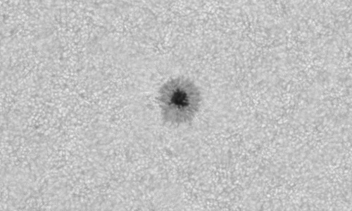 2024年8月25日の黒点（活動領域13798）