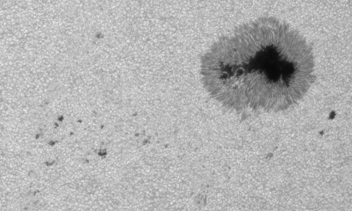 2024年8月28日の黒点（活動領域13799）