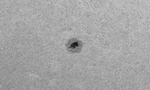 2024年8月29日の黒点（活動領域13804）