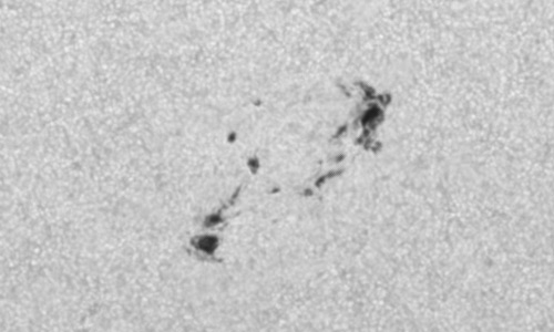 2024年8月30日の黒点（活動領域13807）