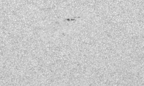 2024年9月8日の黒点（活動領域13816）