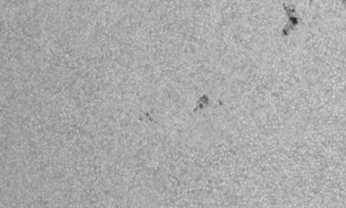 2024年9月9日の黒点（活動領域13822）