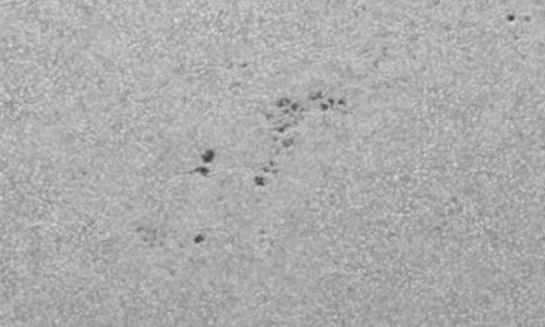 2024年9月9日の黒点（活動領域13819）