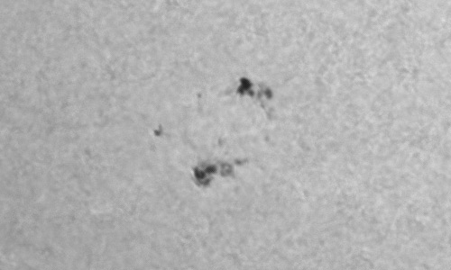 2024年9月11日の黒点（活動領域13824）