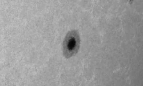 2024年9月12日の黒点（活動領域13815）