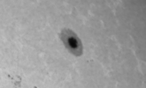 2024年9月15日の黒点（活動領域13814）