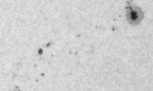 2024年9月15日の黒点（活動領域13824）