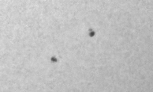 2024年9月15日の黒点（活動領域13826）