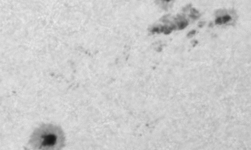 2024年9月19日の黒点（活動領域13825）